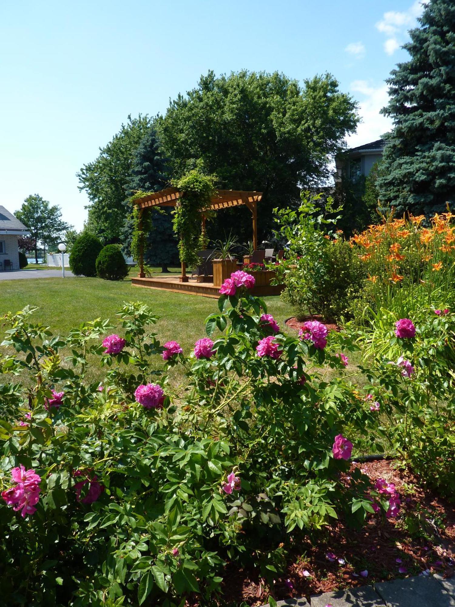 Motel Belle Riviere Saint-Jean-sur-Richelieu ภายนอก รูปภาพ